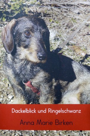 P1050851[620] buchtitel