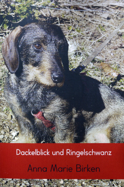 P1050851[620] buchtitel